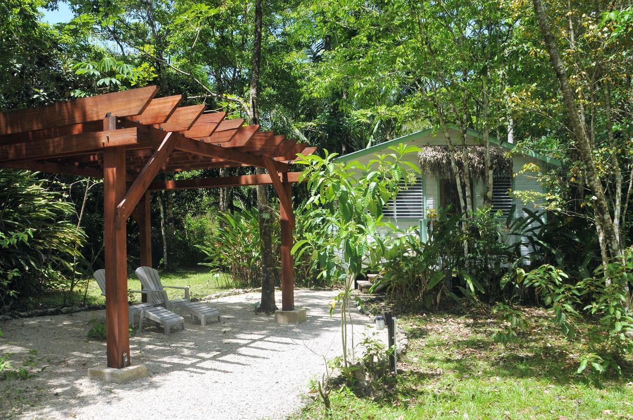 Hickatee Cottages, Belize, Central America Punta Gorda Luaran gambar