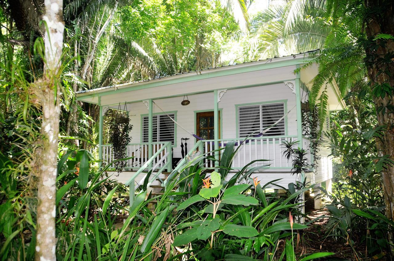 Hickatee Cottages, Belize, Central America Punta Gorda Luaran gambar