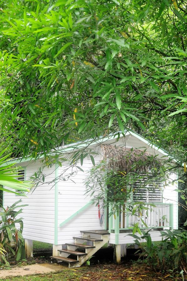 Hickatee Cottages, Belize, Central America Punta Gorda Luaran gambar