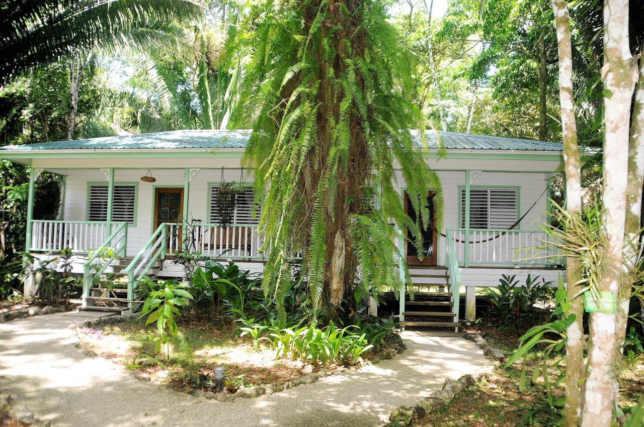 Hickatee Cottages, Belize, Central America Punta Gorda Luaran gambar