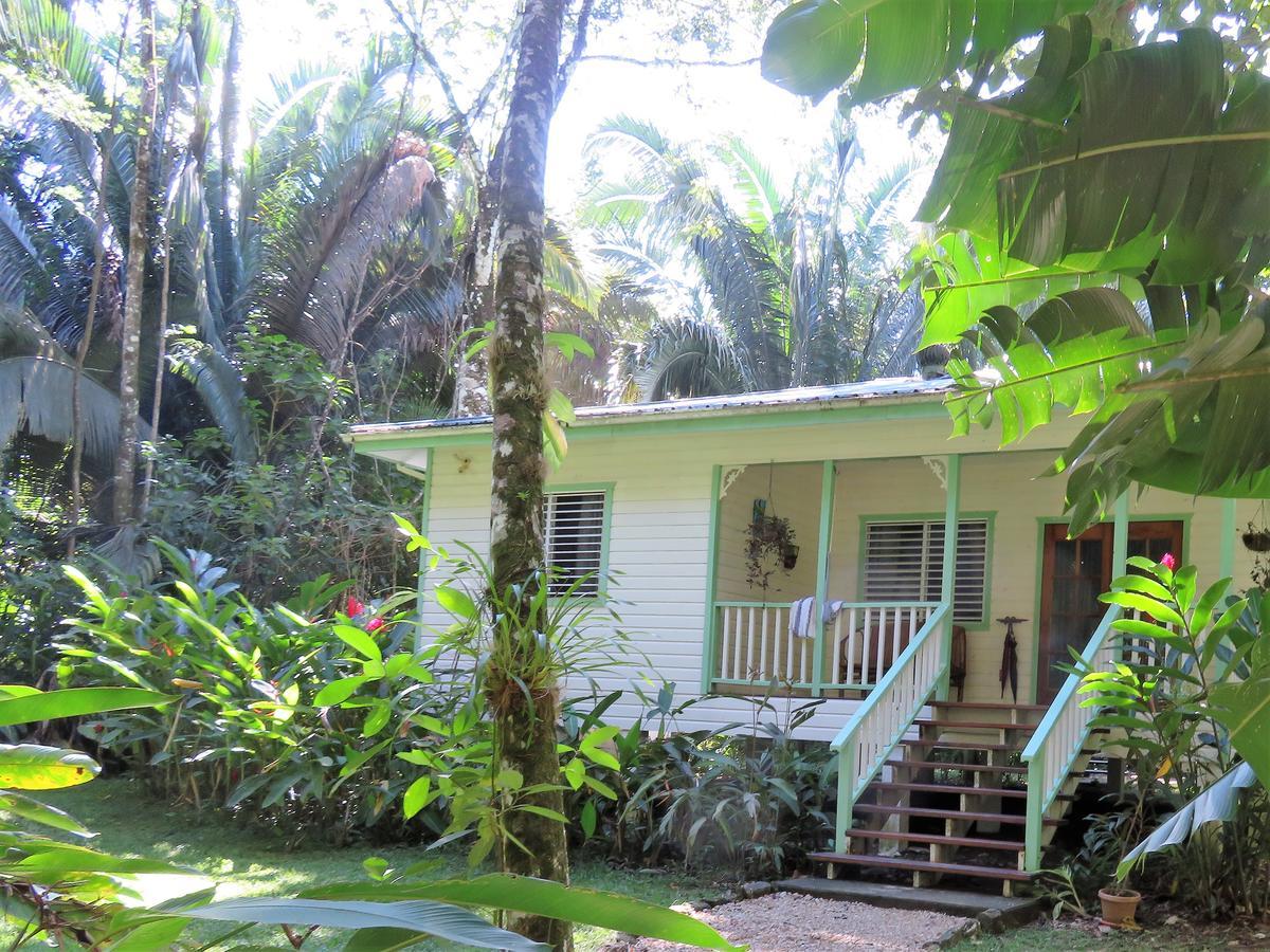 Hickatee Cottages, Belize, Central America Punta Gorda Luaran gambar